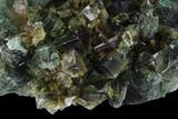 Fluorite Crystal Cluster on Quartz - Rogerley Mine #134785-1
